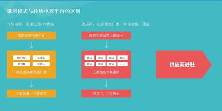 微店网云销售模式 互联网销售的新机遇与挑战